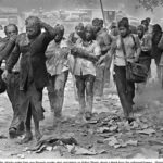 Survivors 9/11